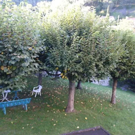 T4 Dans Calme Et Arboree Daire Royat